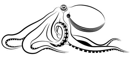 octopus represented in the form of a tattoo.のイラスト素材
