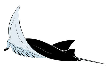 Manta Ray, tattooのイラスト素材