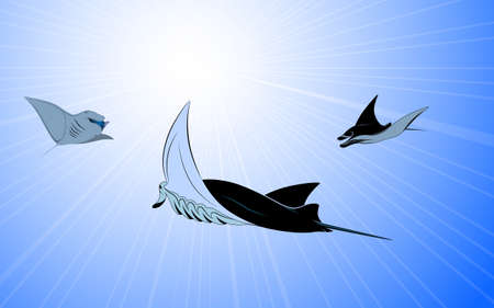 Manta Ray playing the seaのイラスト素材