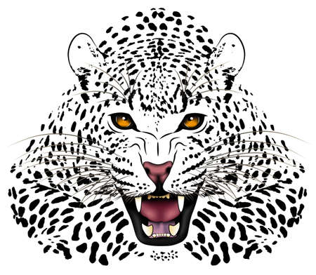 Leopard, tattooのイラスト素材