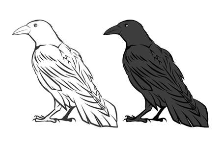 Black and white ravensのイラスト素材