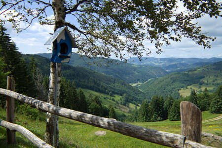 starling houseの写真素材