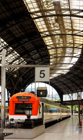 Structure and roof of the train station. Barcelona. Art Nouveau style.