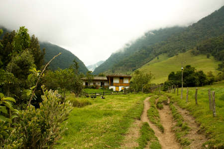 Cocora Valley, one of the most beautiful landscape of Quindioの写真素材