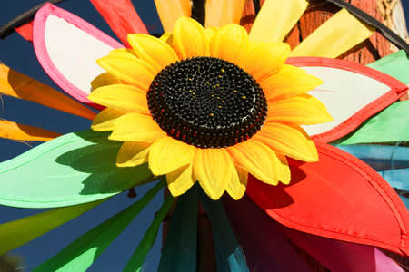 Pinwheel of colors. Sunflower toy. の写真素材