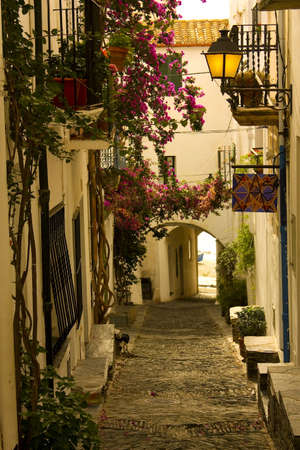 Dawn. Narrow street in a small Mediterranean village. Cadaques, Costa Brava, Catalonia, Spainの写真素材