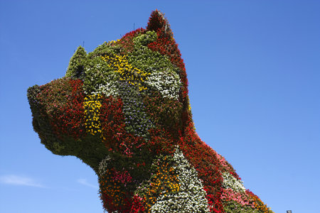 Puppy sculpture by Jeff Koons. This is a giant dog made of flowers. The Guggenheim Museum, designed by Canadian architect Frank O. Gehry, Bilbao, Euskadi, Spain. Photo taken on: May 22nd, 2010のeditorial素材