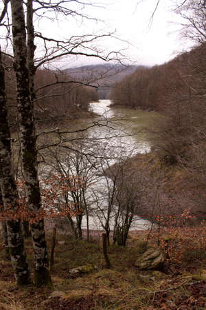 Beech forest in the Irati jungle or forest, Navarra, northern Spainの写真素材