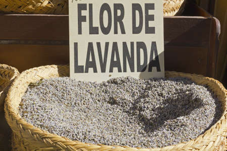 Species Lavender Blossomの写真素材