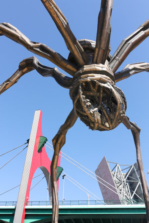 BILBAO, MAY 22: Detail of The giant spider のeditorial素材