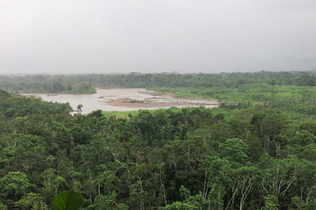 Rainforest. Jungle in the Madidi National Park Bolivia