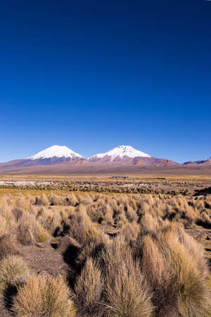 Parinacota and Pomerade volcanos. High Andean landscape in the Andes. High Andean tundra landscape...