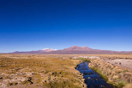 High Andean tundra landscape in the mountains of the Andes. The weather Andean Highlands Puna grassland ecoregion, of the montane grasslands and shrublands biome.の写真素材