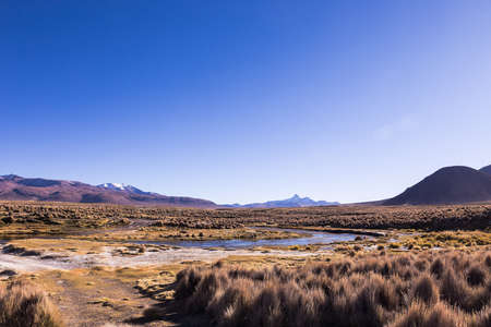 High Andean tundra landscape in the mountains of the Andes. The weather Andean Highlands Puna grassland ecoregion, of the montane grasslands and shrublands biome.の写真素材