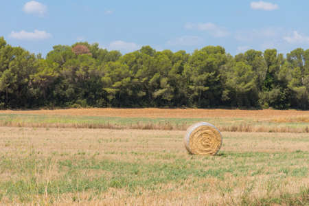 Typical landscape of the Emporda in Catalonia:. Polish countryside, harvested fields, haystacks. Costa Brava, Spain.の写真素材
