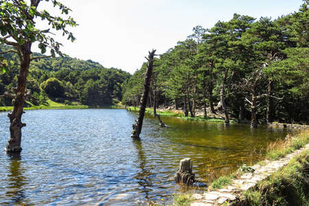 Panorama to Bassa de Oles. Aran valley in the Catalan Pyrenees, Spainの写真素材
