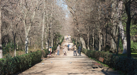Path inside the Retiro Park in Madrid. The Buen Retiro Park is a historic garden and public park, considered one of the main tourist attractions of the city. Spain.のeditorial素材