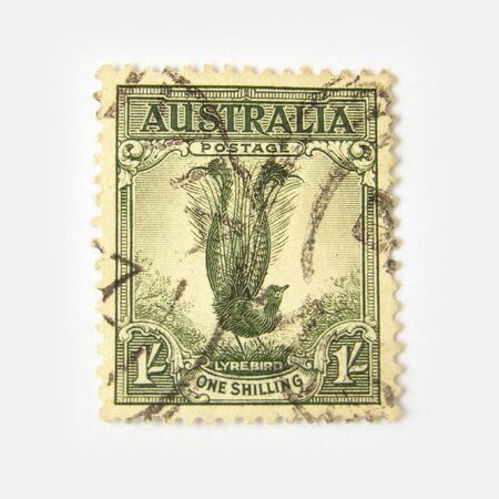 Australia postage stamp with lyrebird on white background 