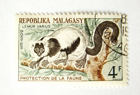 Madagascar postage stamp with monkey on white backgroundの写真素材