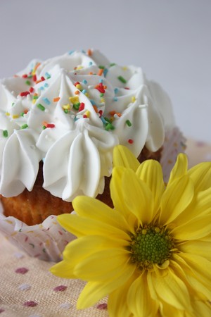 Cupcake and flowerの写真素材