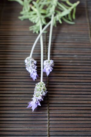 Lavender flowers over dark wood backgroundの写真素材