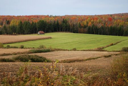 lone isolated house in a field in autumnの写真素材