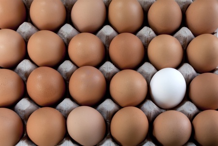 an egg white into brown eggs, representing visible minority