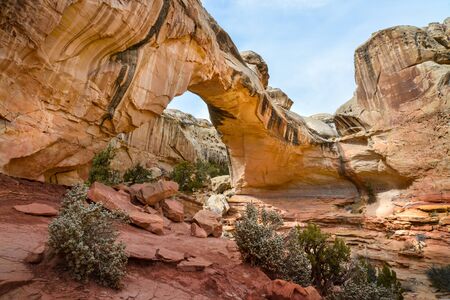 trail walk in the Capitol reef National Park, Utah USAの写真素材