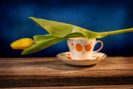 Still life of a closed yellow tulip placed on an orange and white ornate pottery cup on a barn wood table in front of a blue backdropの写真素材