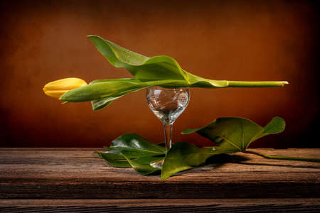 Still life of a closed yellow tulip placed on a wine goblet engraved on a barn wood table in front of an orange backdropの写真素材