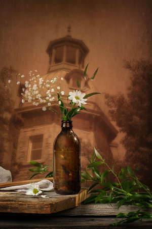 White daisy flower representing peace on an architectural background.の写真素材