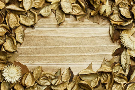 Autumn background with dried flowers on wooden board の写真素材