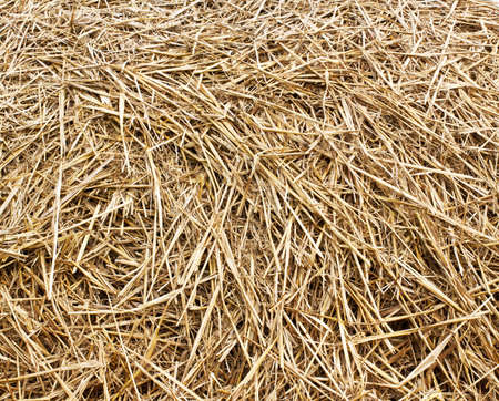 dray hay stack background