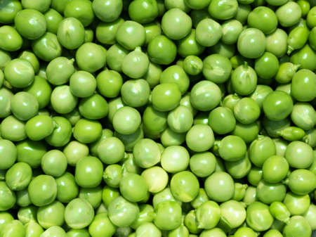 pile of fresh peas, green backgroundの写真素材