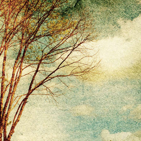 Grunge vintage nature backgroundの写真素材