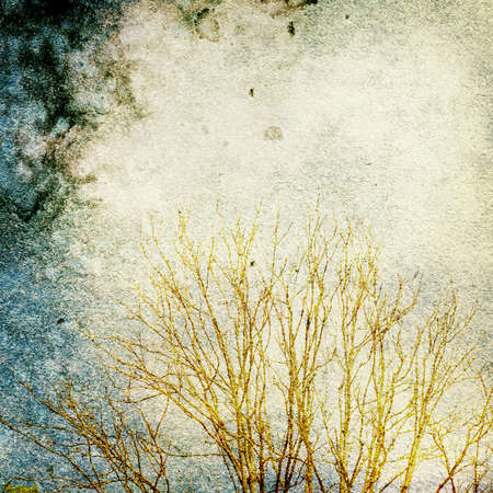 Grunge vintage nature backgroundの写真素材