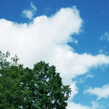 Blue sky, clouds and sun light. Summer time.の写真素材