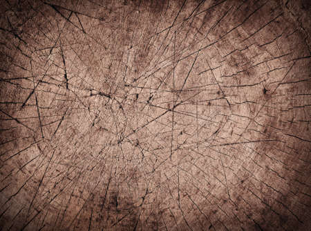 Brown cracked cross section of tree trunk and stump texture.の写真素材