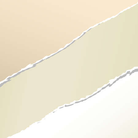 Torn crumple brown paper, adhesive sticky tape.のイラスト素材