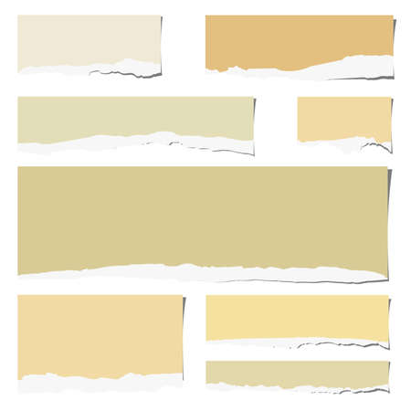 Set of various colorful torn note papers  on white background.のイラスト素材