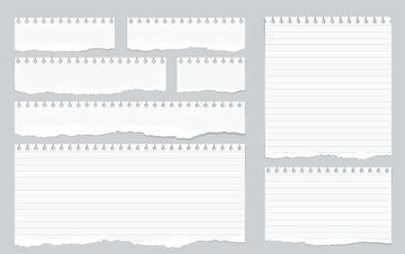 Pieces of torn white lined notebook paper on gray background.のイラスト素材