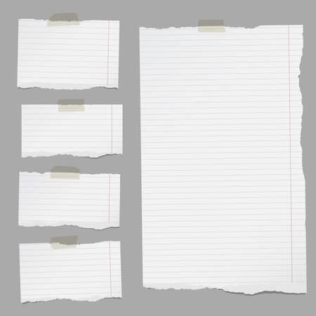 Pieces of torn white lined notebook paper sticked on gray background.のイラスト素材