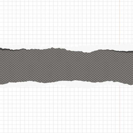 Pieces of torn white squared notebook paper with margin and copy space sticked on gray background.のイラスト素材
