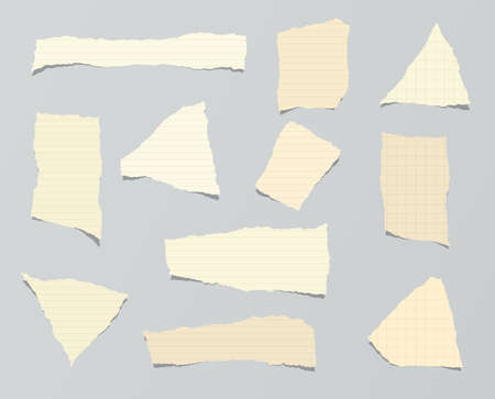 Pieces of ripped brown ruled paper are stuck on gray background.のイラスト素材