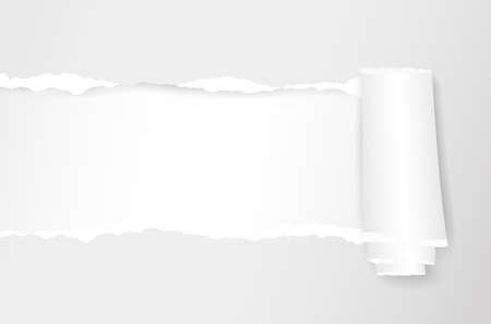 Rolled and ripped white notebook paper sheet. Vector illustrationのイラスト素材