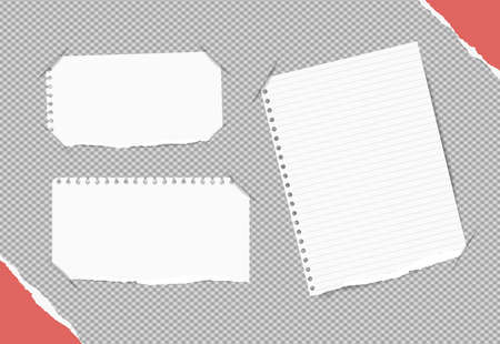 White blank, ruled notebook, copybook sheets inserted into gray squared background.のイラスト素材