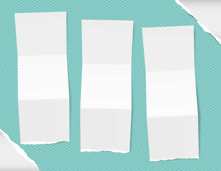 Torn folded white letter, brochure, leaflet with shadow on turquoise squared pattern and ripped paper in cornersのイラスト素材