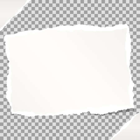 White note, notebook, copybook paper stuck on grey squared background.のイラスト素材