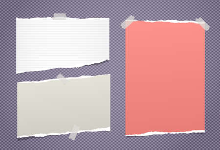Ripped paper strips, notebook sheets for note or message stuck with sticky tape.のイラスト素材