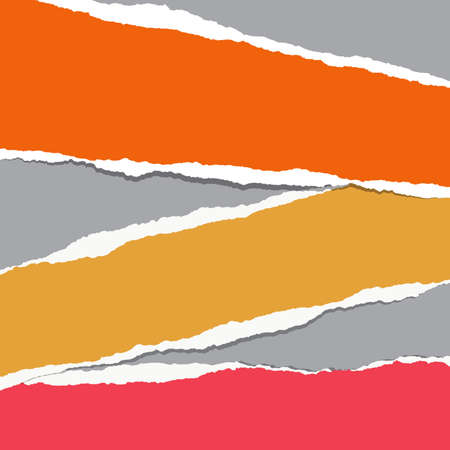 Bright colorful ripped notebook paper strips.のイラスト素材